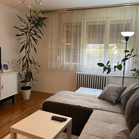 Kelizual Apartment Gornji Milanovac Exterior foto